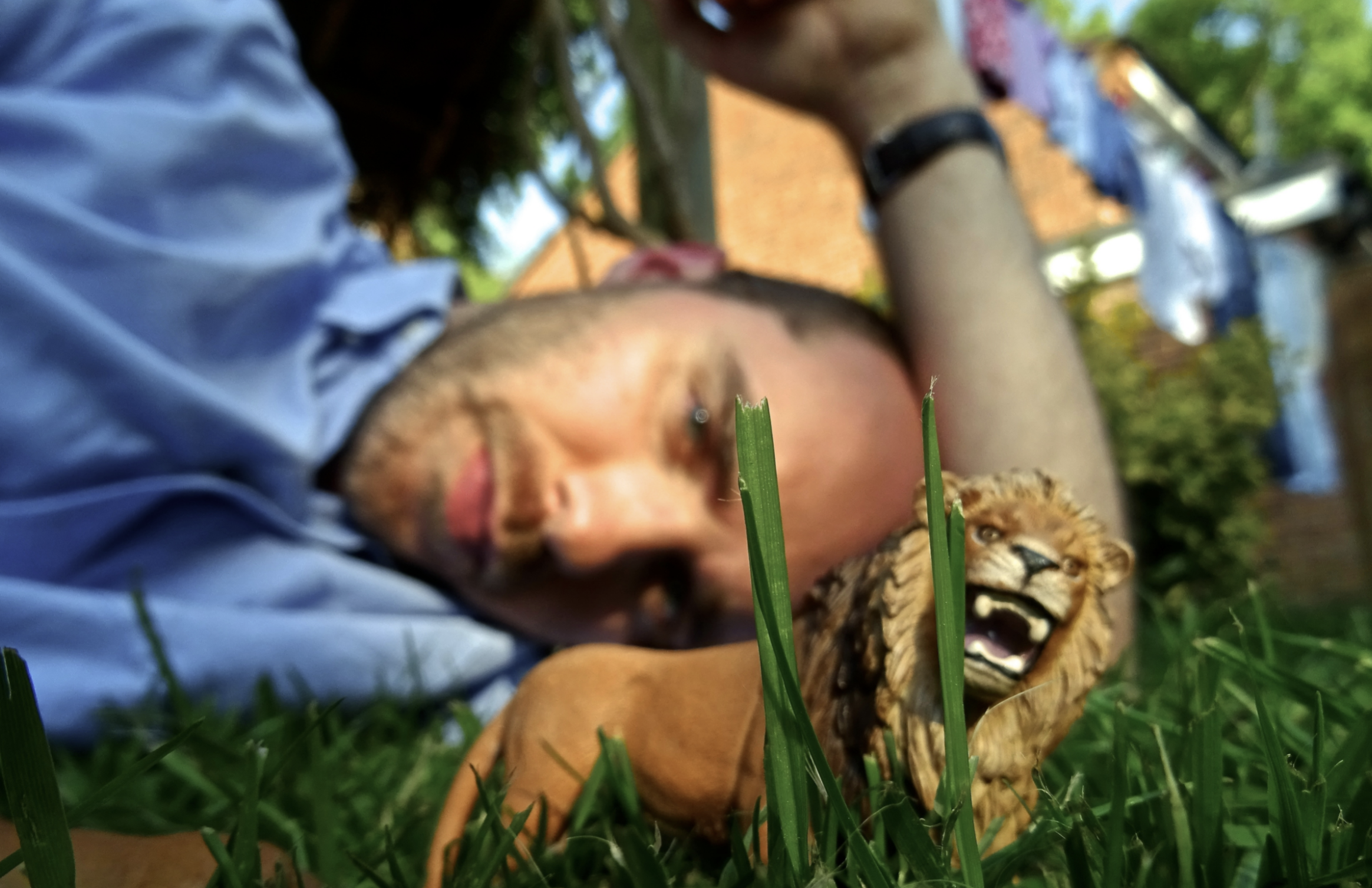 Richard Walters: ‘Handful of Bees’