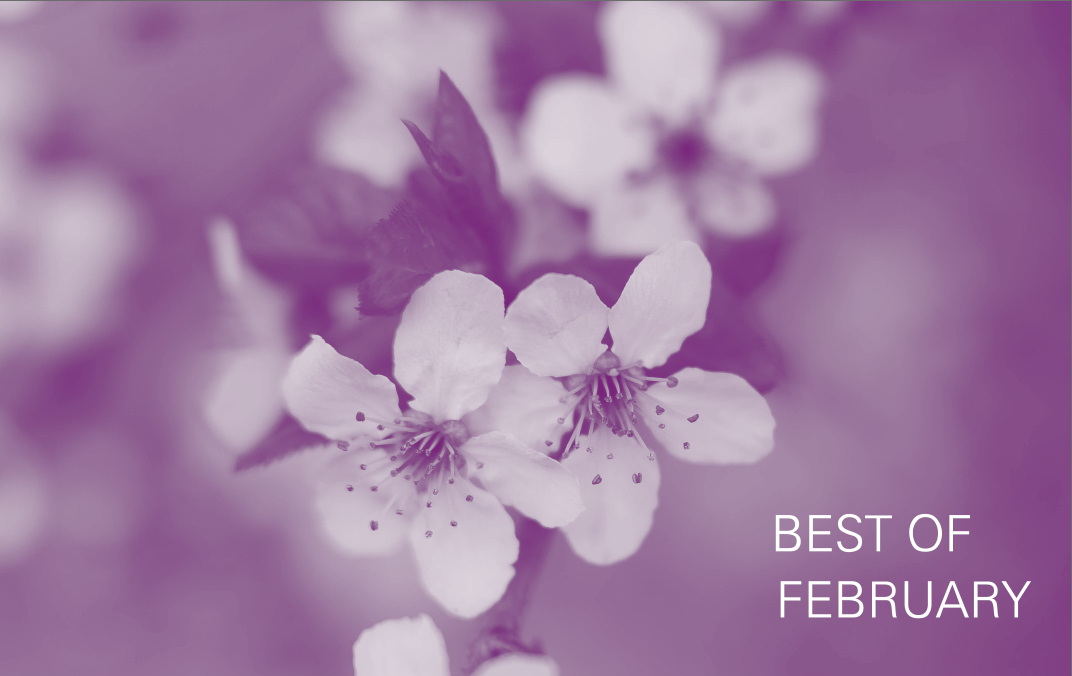 Best Of February