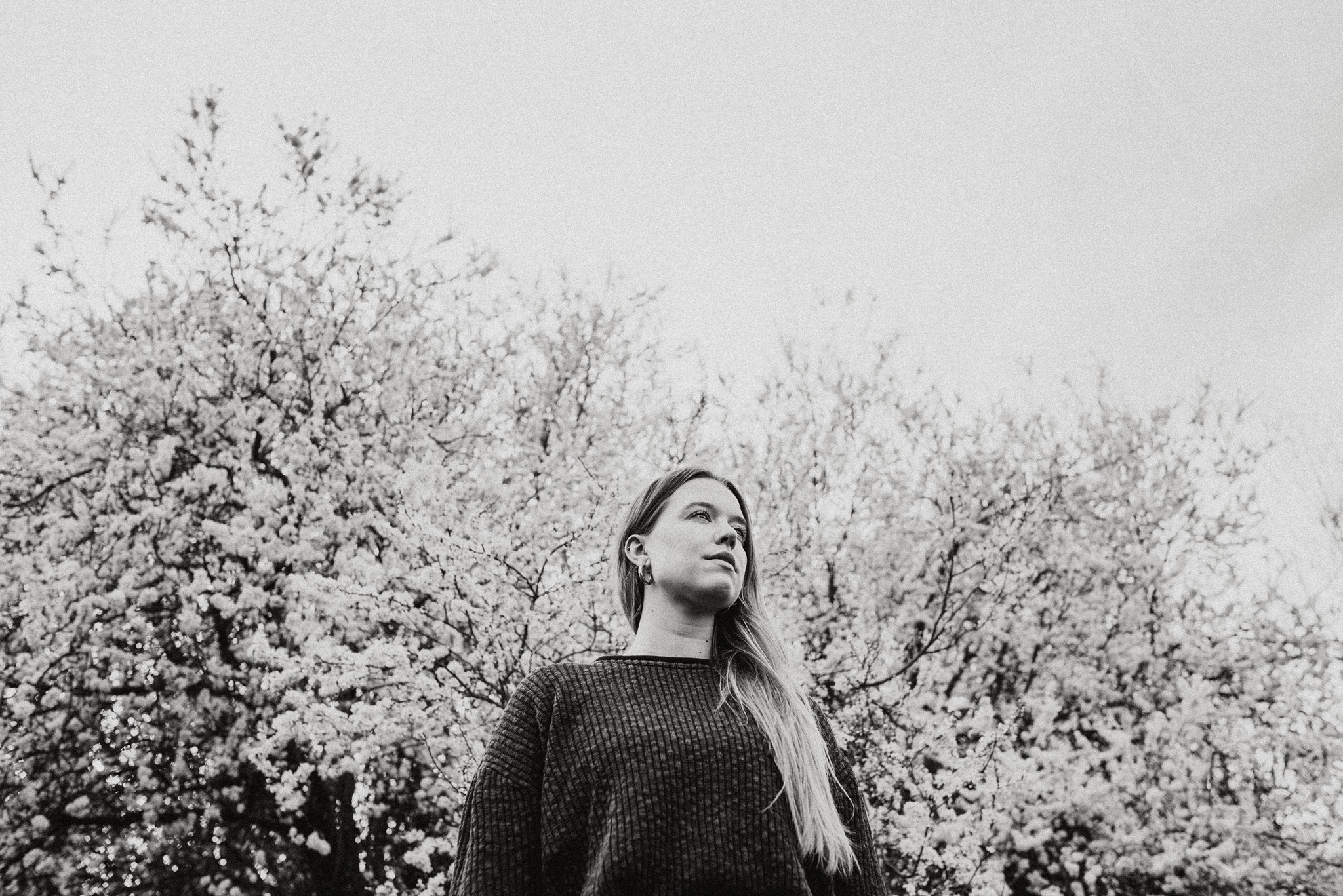 Kathleen Frances: ‘Define’