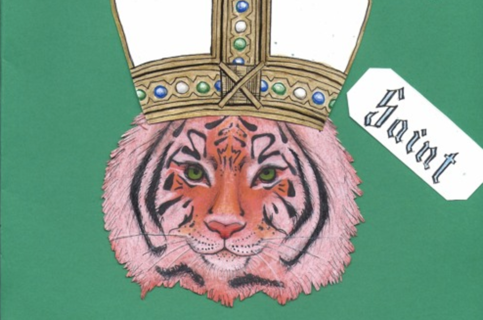 Tiger Beach: ‘Shunt’