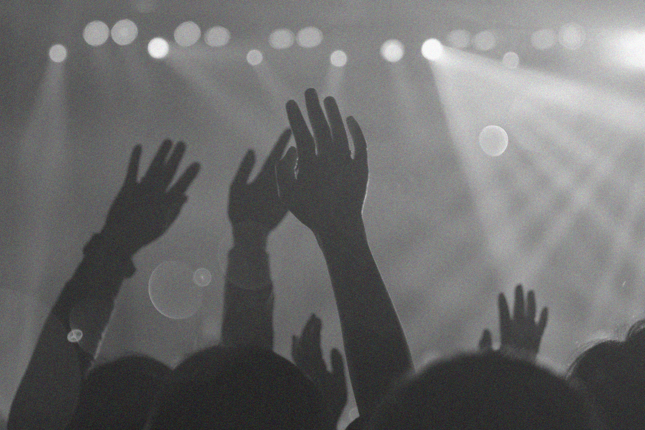 A Love Letter to Live Music