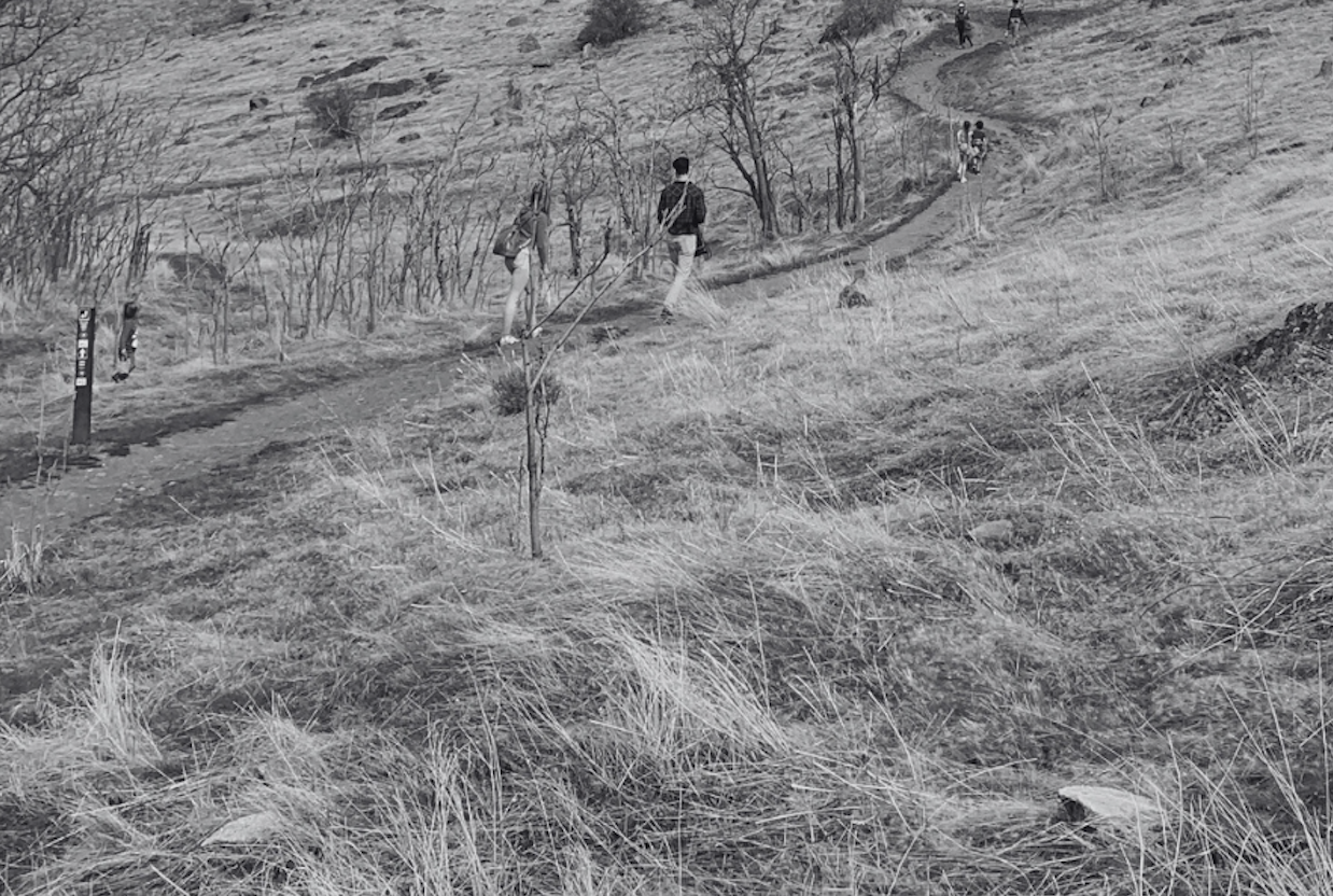 Noah Before: ‘Left Looking’