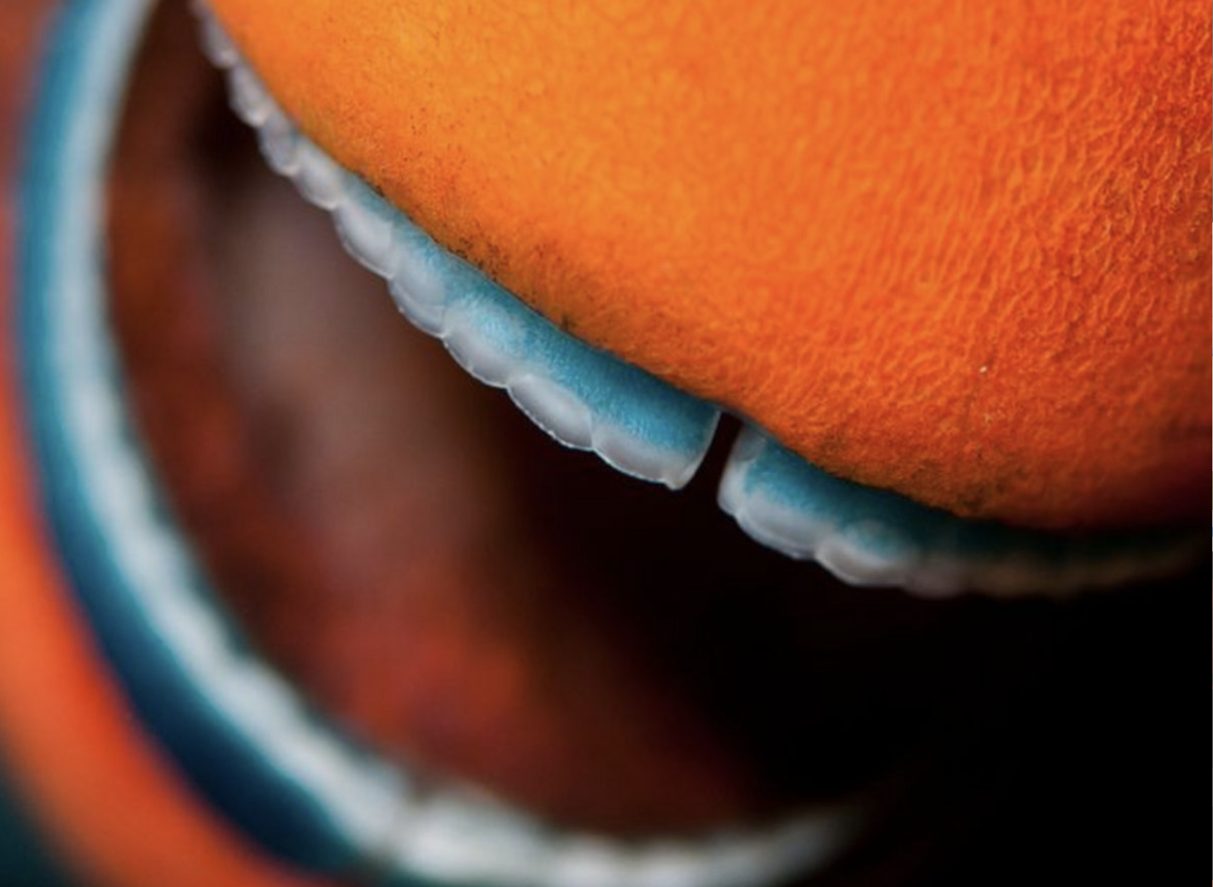 DJ Roc: ‘Energy’