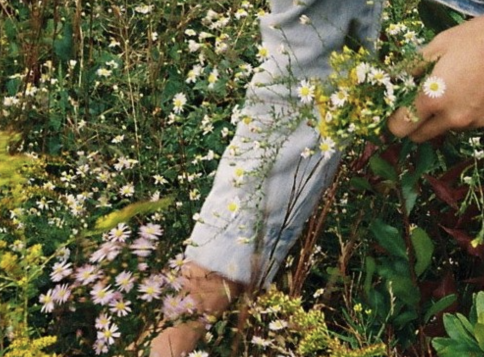 Maryse Smith: ‘635’